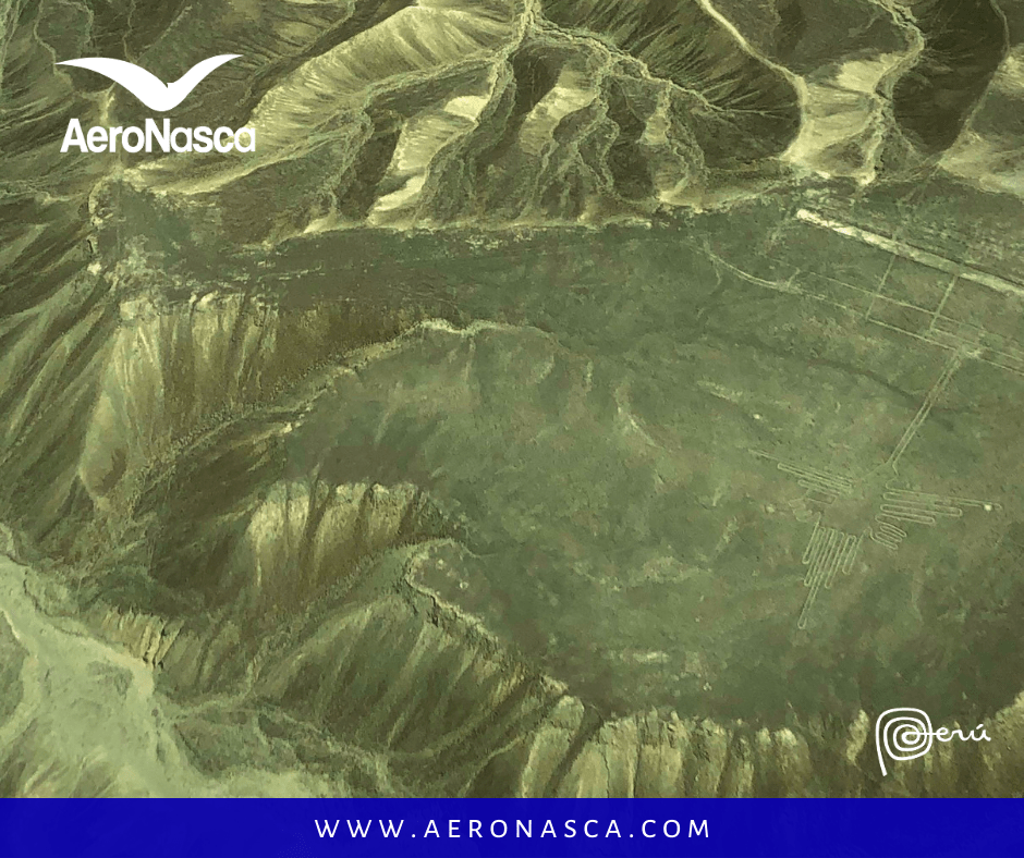 Nazca Tourism | 5 Places You Have To Know Turismo en Nazca: Tour a las Líneas de Nazca