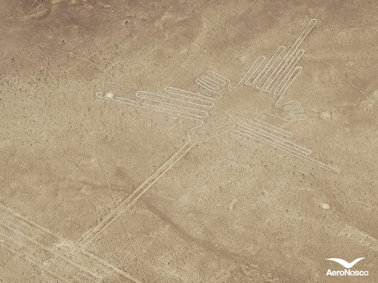 Nombres de las Líneas de Nazca Imagenes de las Lineas de Nazca: Colibri