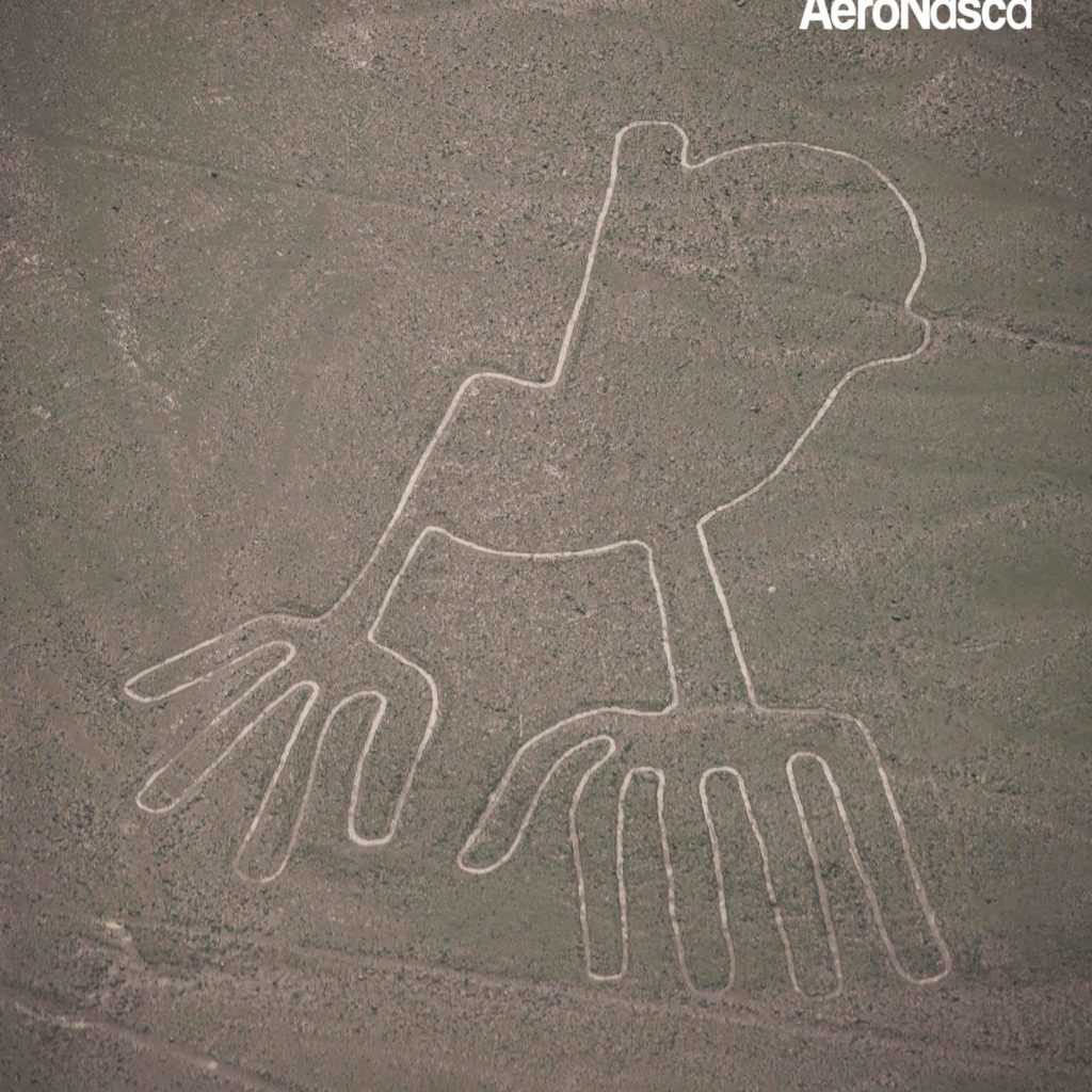 Impresionantes Fotos de las Lineas de Nazca