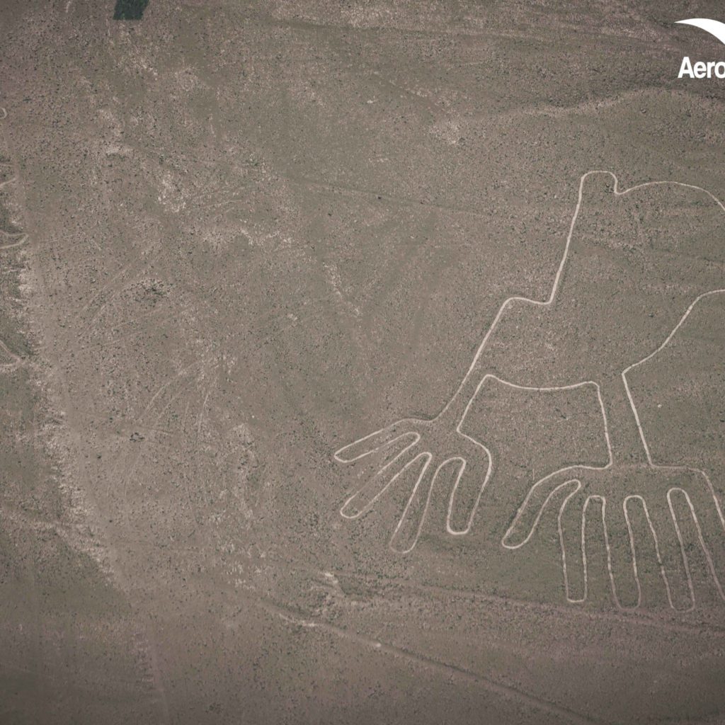 Impresionantes Fotos de las Lineas de Nazca