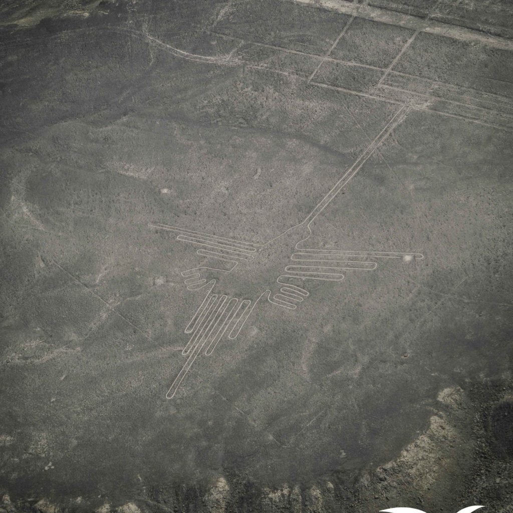 Impresionantes Fotos de las Lineas de Nazca