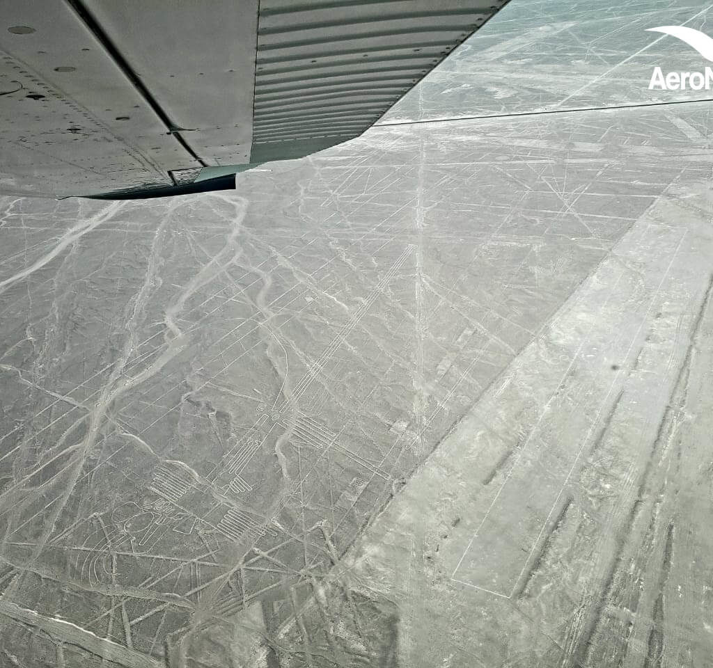 Impresionantes Fotos de las Lineas de Nazca