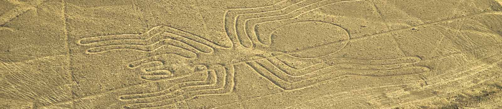 Who made the Nazca Lines: Humans or Aliens 🛸 The Spider: one of the most famous Nazca Lines in the World.