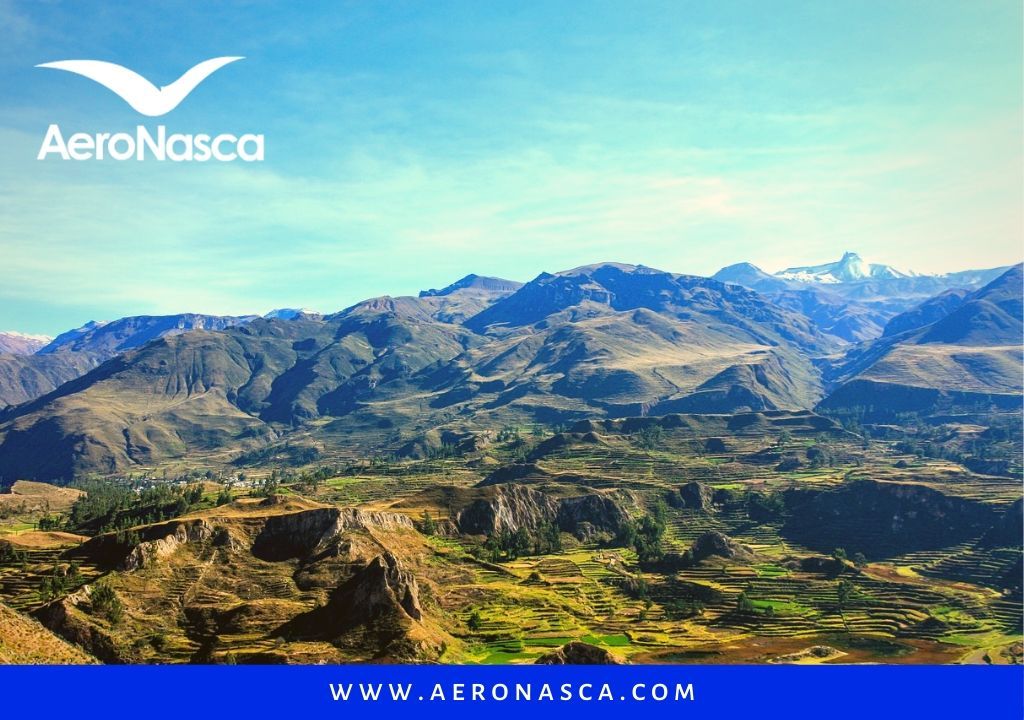 Cañol de Colca Arequipa
