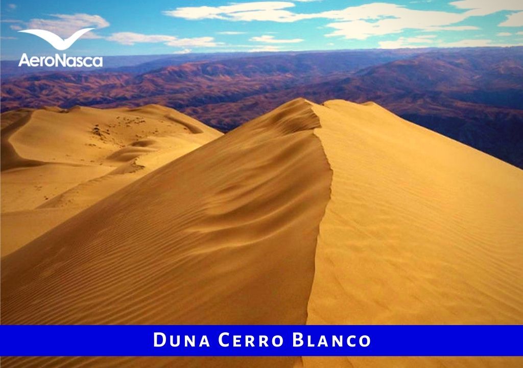Duna Cerro Blanco