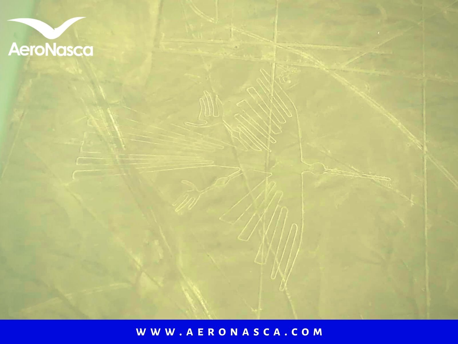 El Condor Lineas de Nazca