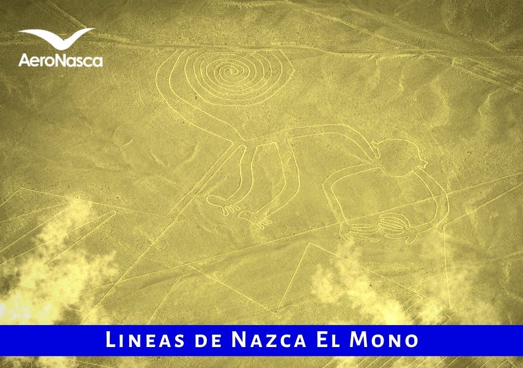 Lineas De Nazca El Mono