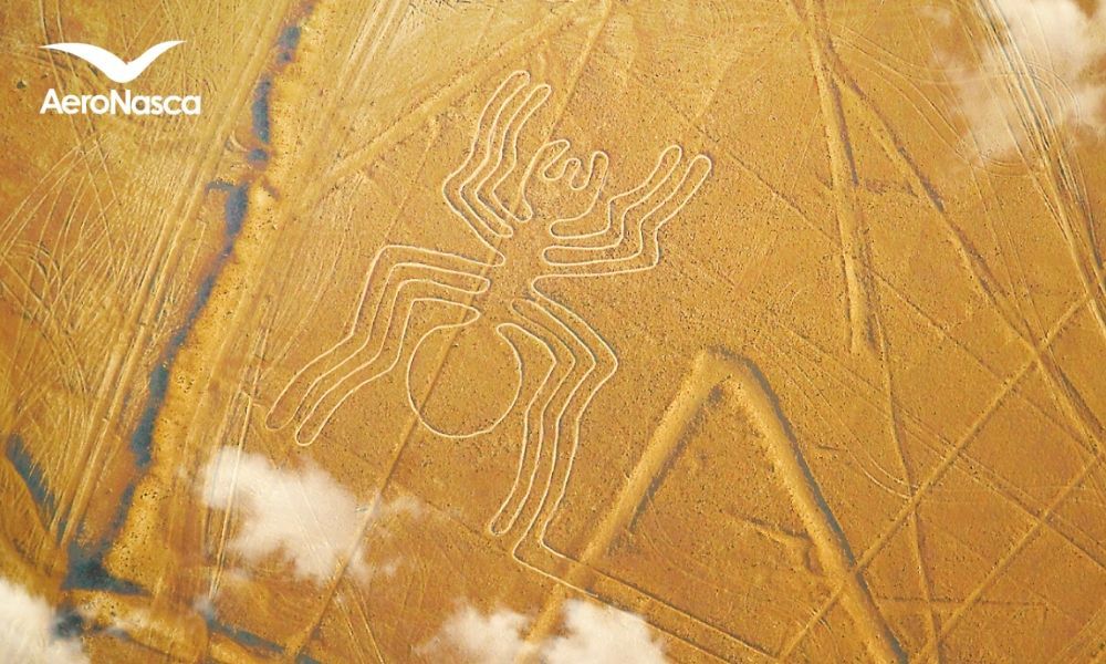 ¿Qué son las Líneas de Nazca? Sobrevuelo a las Lineas de Nazca desde Paracas