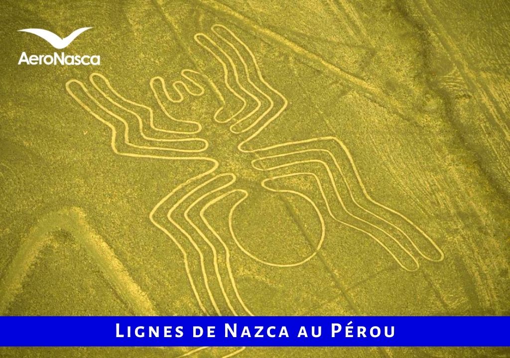 Lignes De Nazca Pérou