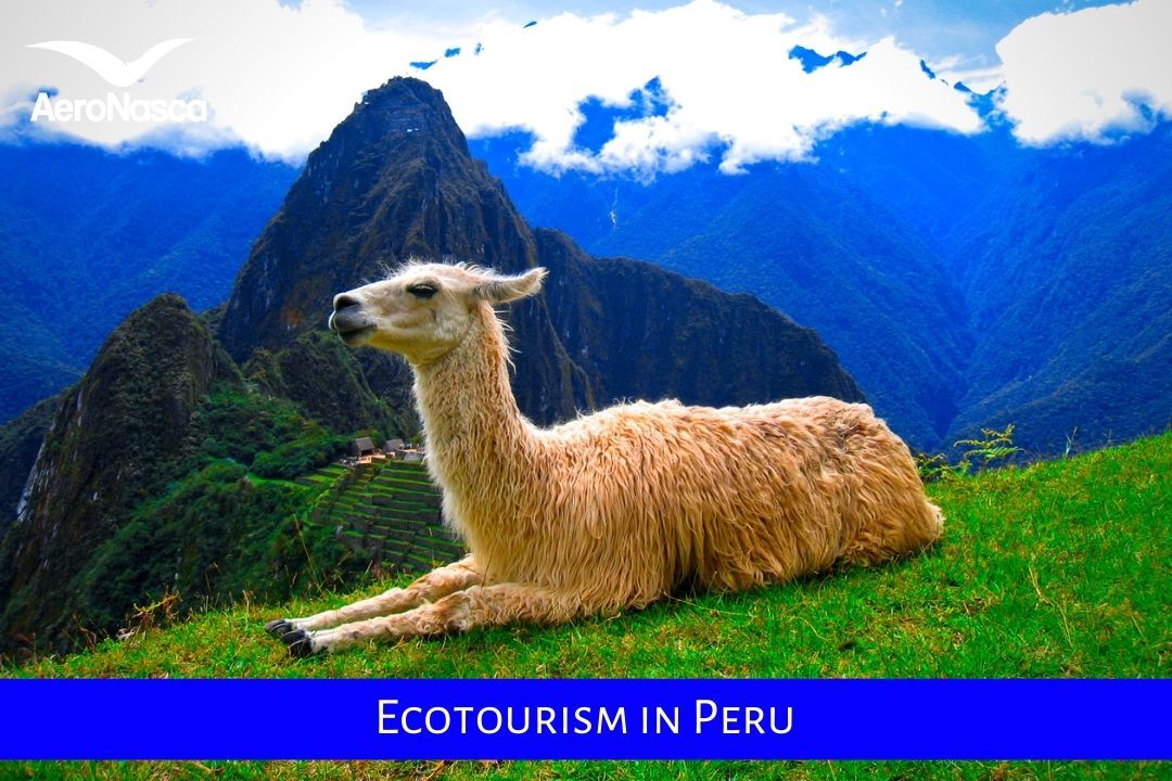 Ecotourism In Peru