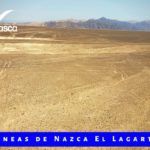 Lineas de Nazca El Lagarto