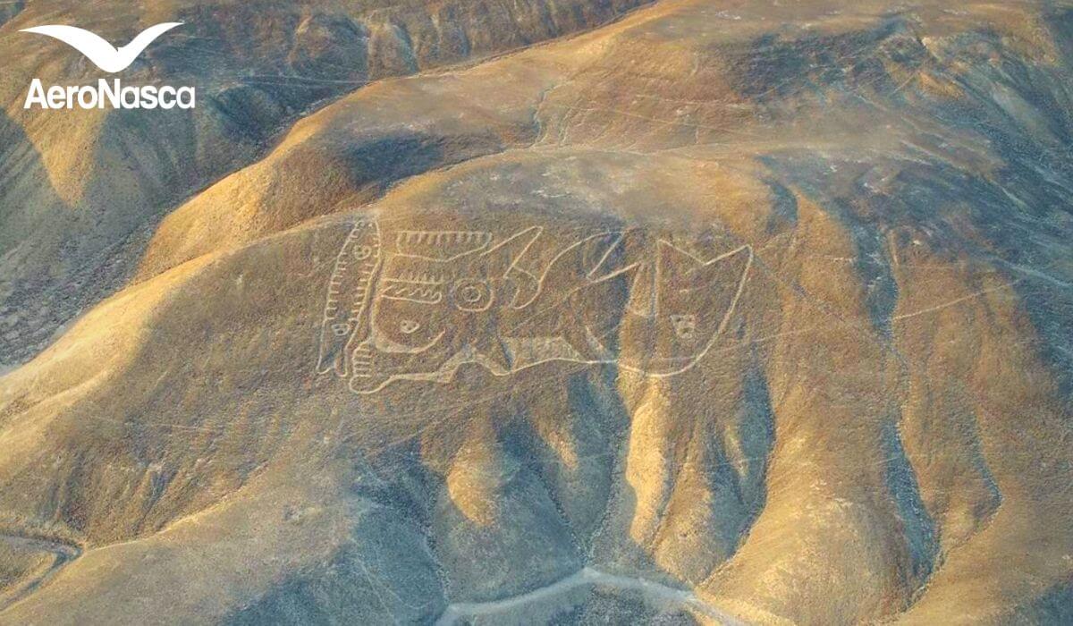 Tipos de Turismo en el Perú 📸 Turismo Cultural en Perú
