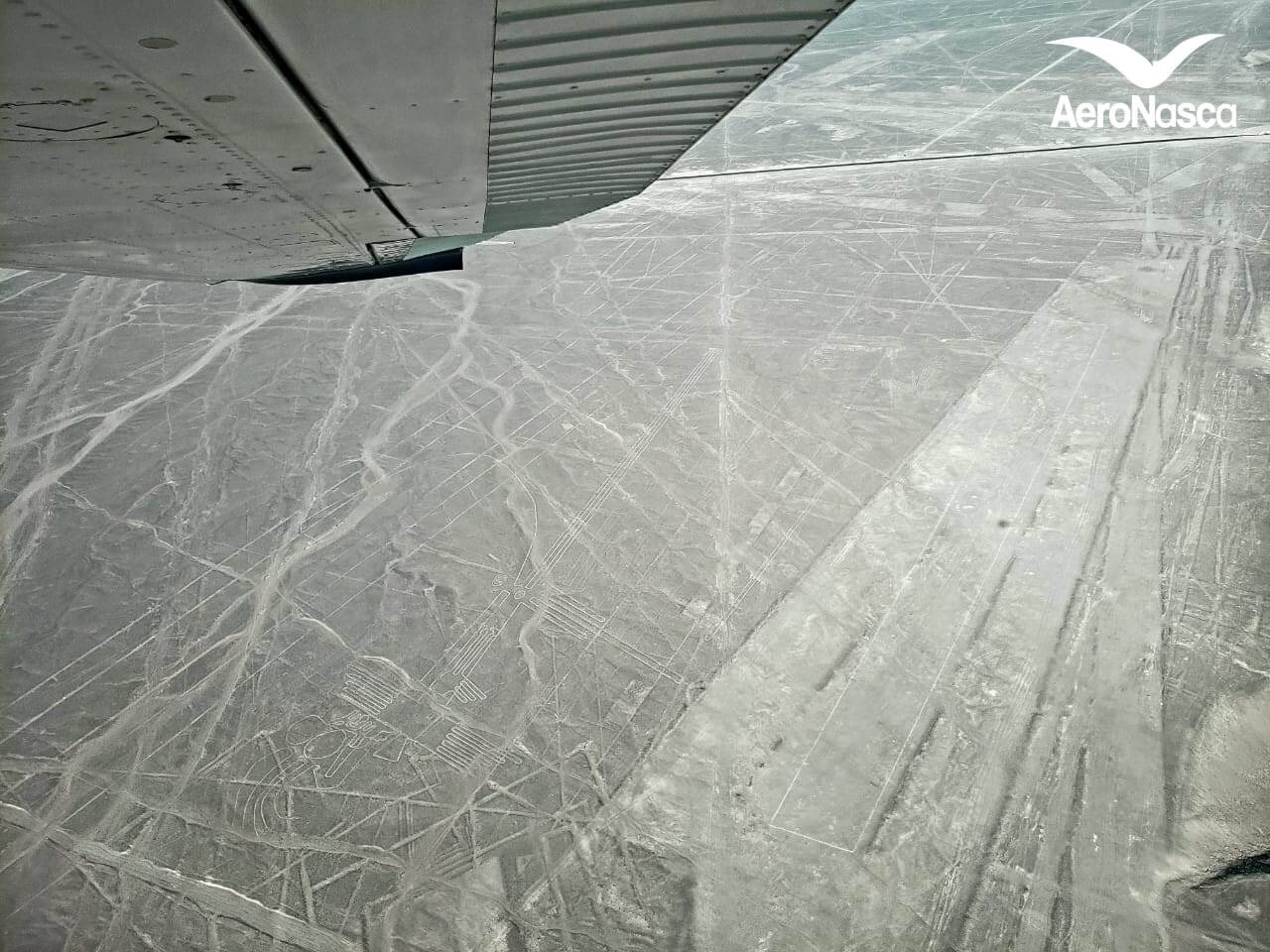 El Compás Lineas de Nazca 