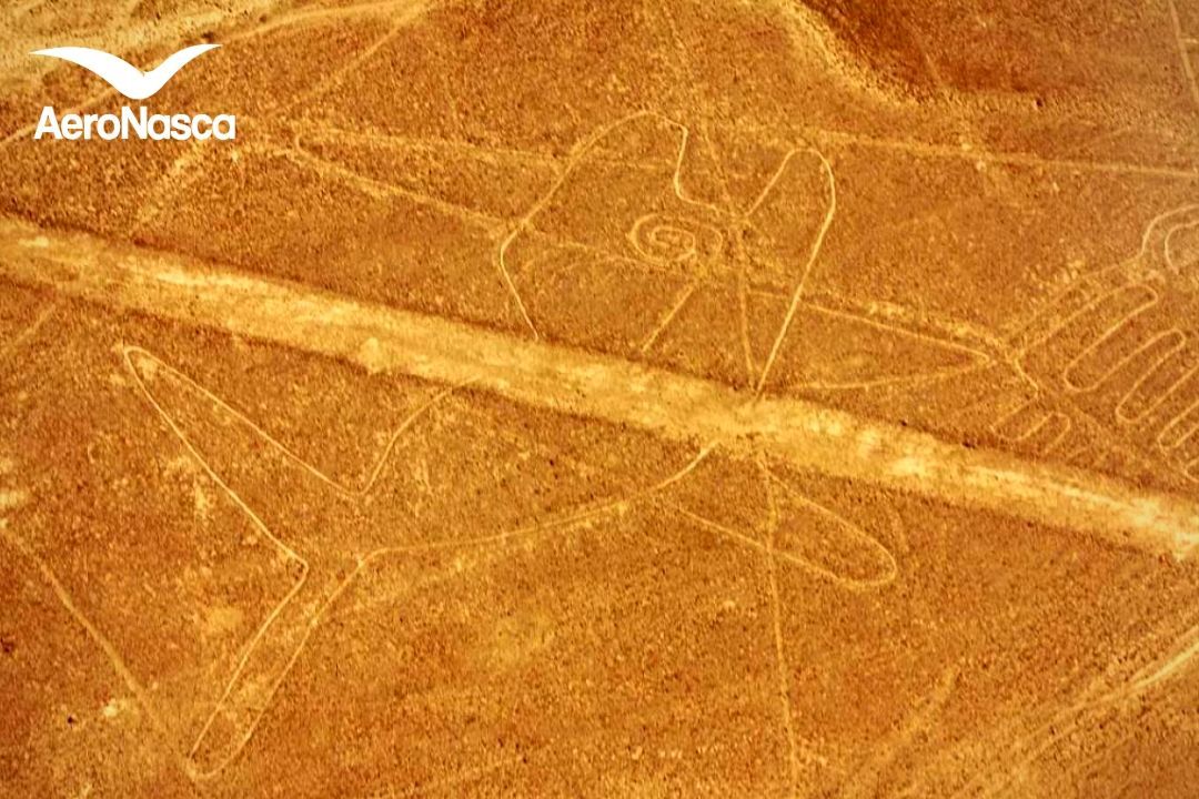 Nombres de las Líneas de Nazca Ballena de las Líneas de Nazca