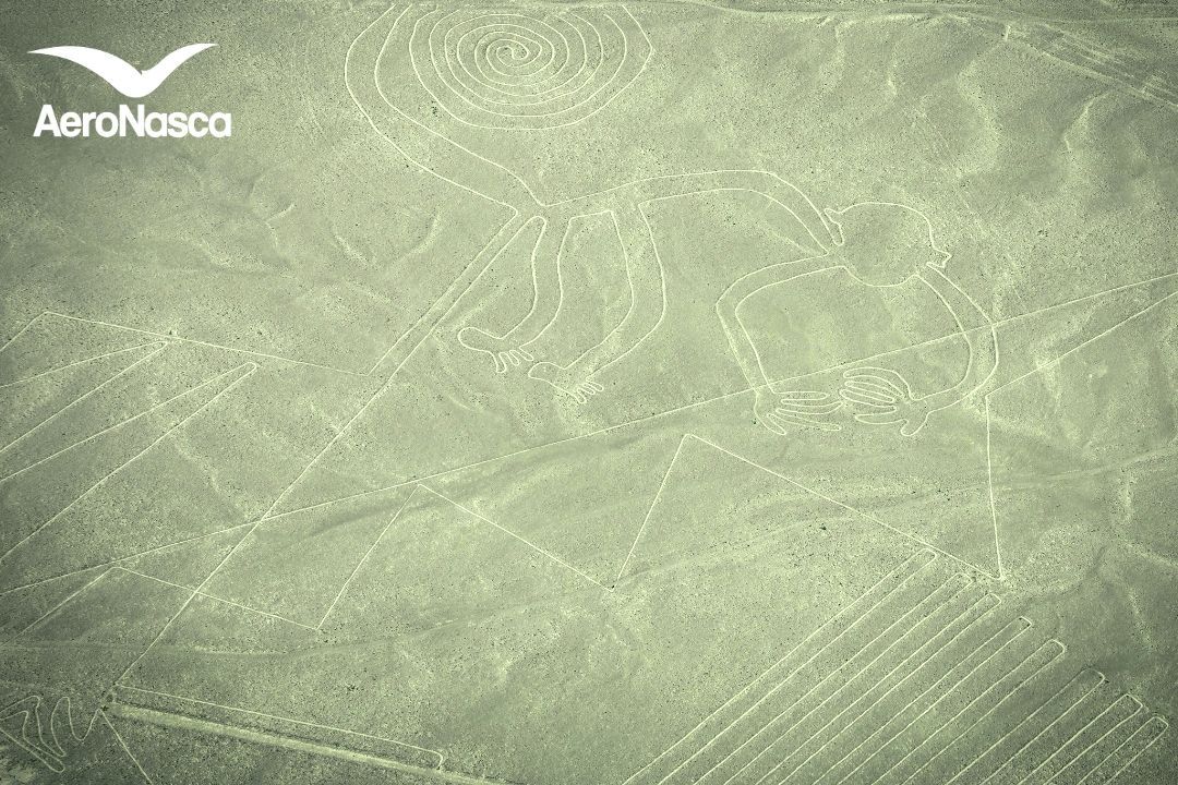 Nombres de las Líneas de Nazca El Mono de las Lineas de Nazca