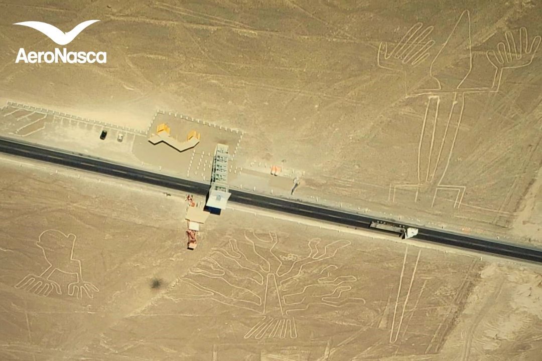 Nombres de las Líneas de Nazca Las Manos, El Lagarto, El Arbol de las Lineas de Nazca